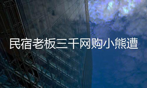 民宿老板三千網(wǎng)購小熊遭索賠3.8萬，一場意料之外的網(wǎng)絡糾紛
