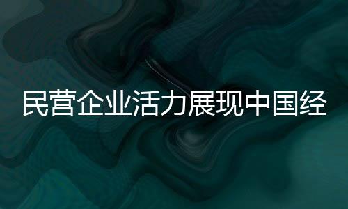 民營(yíng)企業(yè)活力展現(xiàn)中國(guó)經(jīng)濟(jì)潛力，獨(dú)特視角洞悉企業(yè)增長(zhǎng)之源