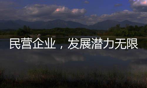民營(yíng)企業(yè)，發(fā)展?jié)摿o(wú)限，前景廣闊光明