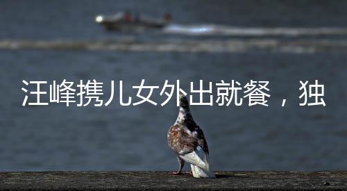 汪峰攜兒女外出就餐，獨(dú)缺女友身影引關(guān)注——溫馨家庭時(shí)刻見證父愛如山