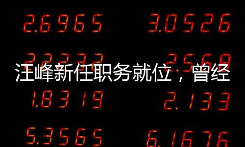 汪峰新任職務就位，曾經審理湄公河慘案主犯