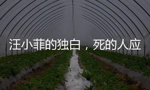 汪小菲的獨(dú)白，死的人應(yīng)該是我