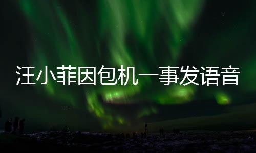 汪小菲因包機(jī)一事發(fā)語音怒罵張?zhí)m，家庭矛盾引發(fā)輿論熱議