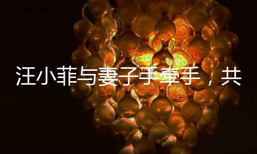 汪小菲與妻子手牽手，共同走出陰霾