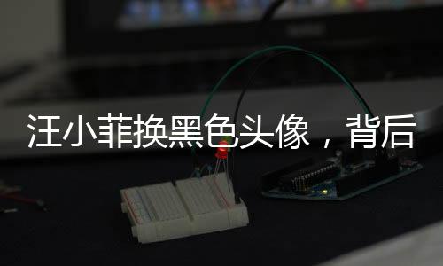 汪小菲換黑色頭像，背后有何深意？