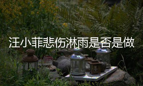 汪小菲悲傷淋雨是否是做戲？三方抨擊引發(fā)爭(zhēng)議