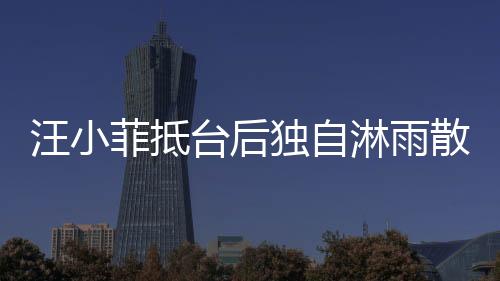 汪小菲抵臺(tái)后獨(dú)自淋雨散步，深夜情緒引人關(guān)注