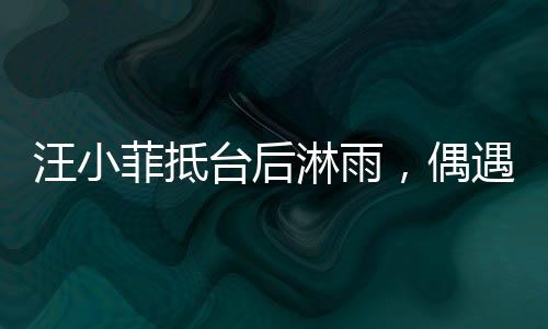 汪小菲抵臺(tái)后淋雨，偶遇天氣不佳，展現(xiàn)堅(jiān)韌精神