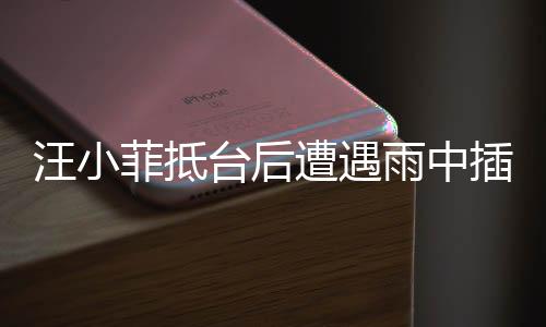 汪小菲抵臺后遭遇雨中插曲