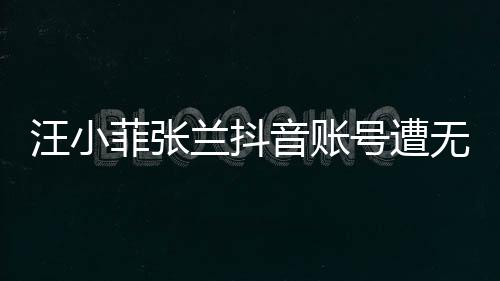 汪小菲張?zhí)m抖音賬號遭無限期封禁，事件背后引發(fā)深思