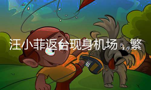 汪小菲返臺(tái)現(xiàn)身機(jī)場(chǎng)，繁忙行程中的溫馨歸途