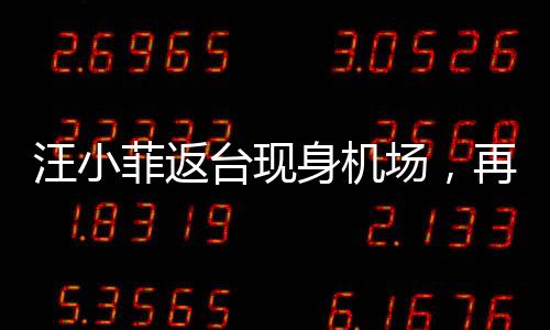 汪小菲返臺現(xiàn)身機場，再度回歸引發(fā)關(guān)注熱潮