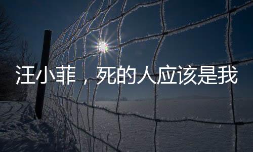 汪小菲，死的人應(yīng)該是我——深度解析背后的故事與情感糾葛