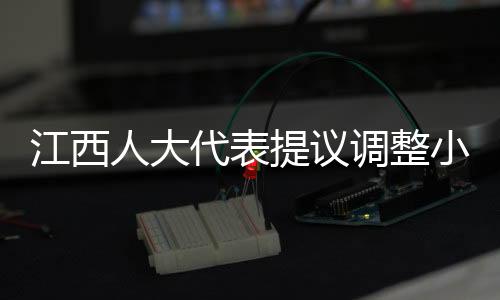 江西人大代表提議調(diào)整小學(xué)入學(xué)年齡，探討與深度分析