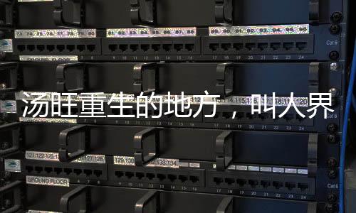 湯旺重生的地方，叫人界