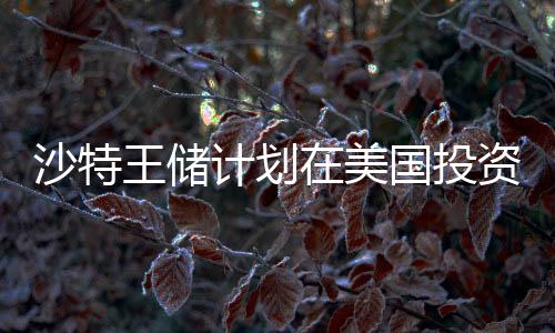 沙特王儲計劃在美國投資高達(dá)6000億美元，全球金融動態(tài)新篇章