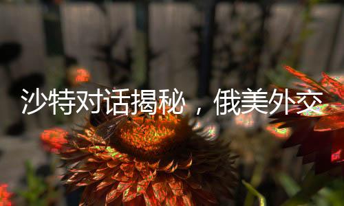 沙特對(duì)話揭秘，俄美外交角逐背后究竟談些什么？并無(wú)烏克蘭議題