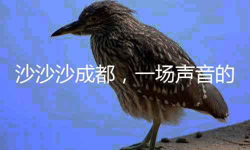 沙沙沙成都，一場(chǎng)聲音的盛宴，一次城市的脈動(dòng)