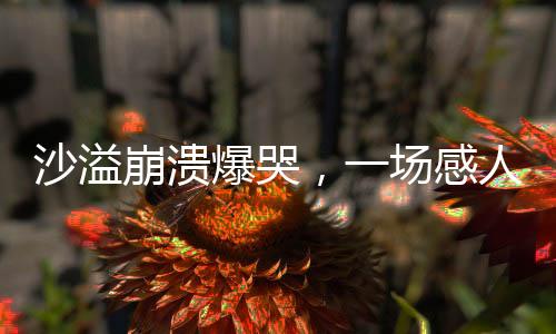 沙溢崩潰爆哭，一場感人至深的情感流露