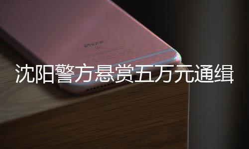 沈陽警方懸賞五萬元通緝嫌犯，呼吁社會各界共同參與打擊犯罪行動