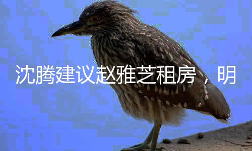 沈騰建議趙雅芝租房，明星置業(yè)觀的新思考