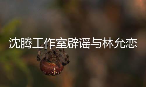 沈騰工作室辟謠與林允戀情傳聞，聲明是假的，二人并無感情糾葛