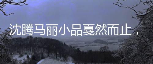 沈騰馬麗小品戛然而止，觀眾疑惑背后原因揭曉