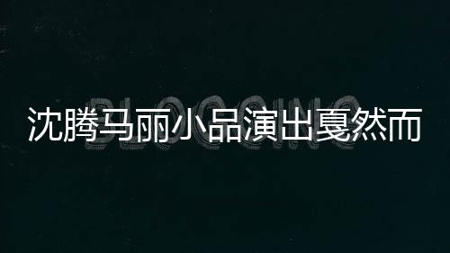 沈騰馬麗小品演出戛然而止，引發(fā)觀眾熱議的背后原因