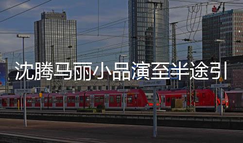 沈騰馬麗小品演至半途引發(fā)期待熱議的文章標(biāo)題，沈騰馬麗小品精彩未完，觀眾期待再度爆笑全場(chǎng)