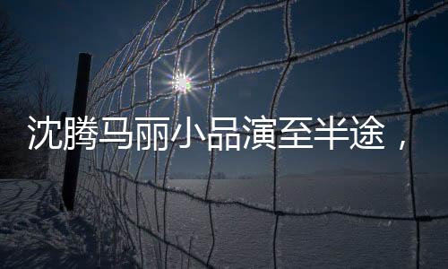 沈騰馬麗小品演至半途，引發(fā)期待熱議，現(xiàn)場(chǎng)觀眾反響熱烈