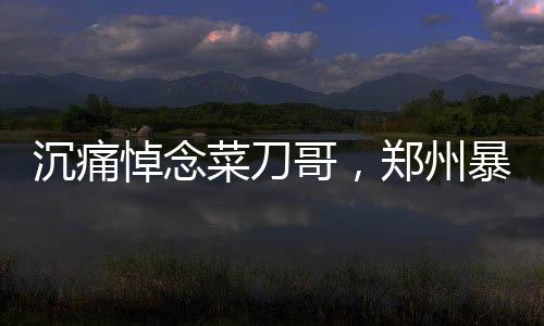 沉痛悼念菜刀哥，鄭州暴雨救人英雄病逝