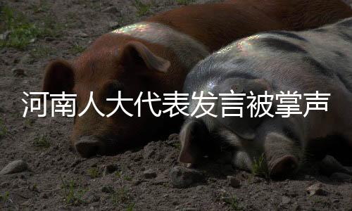河南人大代表發(fā)言被掌聲打斷三次，現(xiàn)場觀察與深度解讀