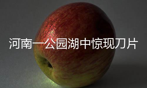 河南一公園湖中驚現(xiàn)刀片，引發(fā)公眾質(zhì)疑