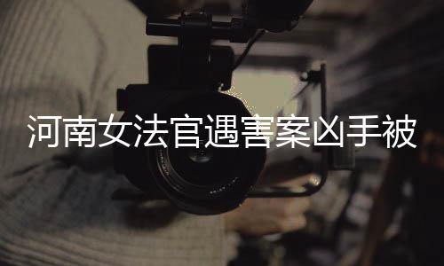 河南女法官遇害案兇手被執(zhí)行死刑，正義終將伸張
