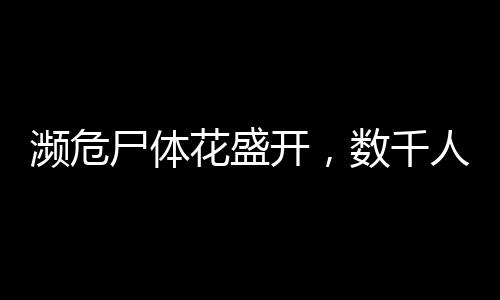 瀕危尸體花盛開，數(shù)千人排隊參觀的獨(dú)特現(xiàn)象