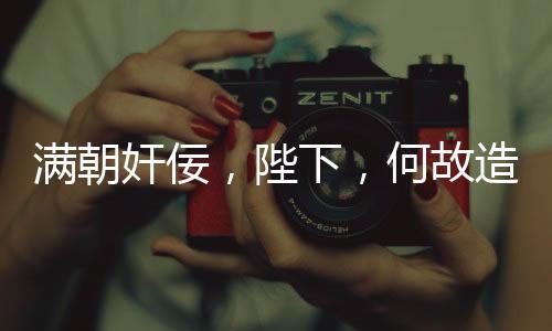 滿朝奸佞，陛下，何故造反？