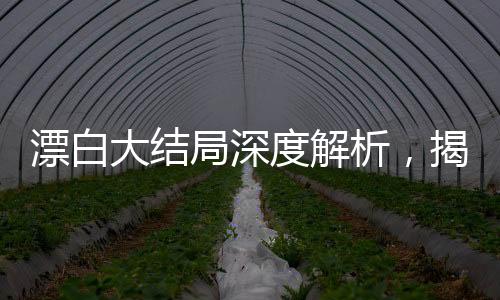 漂白大結(jié)局深度解析，揭開最后的秘密