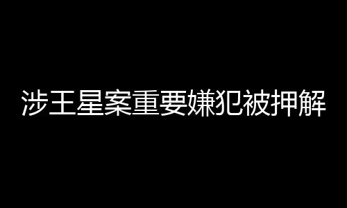 涉王星案重要嫌犯被押解回國事件紀實，揭示案件內(nèi)幕與追責過程（附十位嫌犯詳細信息）
