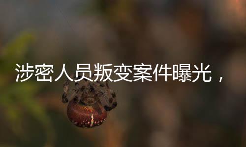 涉密人員叛變案件曝光，神秘細節(jié)揭秘成功迅速捉拿事件親歷者的內幕真相揭秘與自省警鐘長鳴的警示教育故事