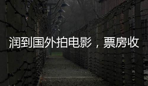 潤到國外拍電影，票房收割全世界