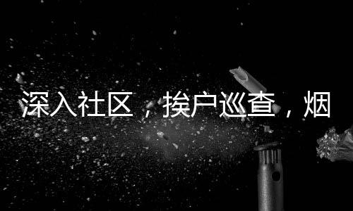 深入社區(qū)，挨戶巡查，煙花安全檢測儀助力喜慶無憂過年