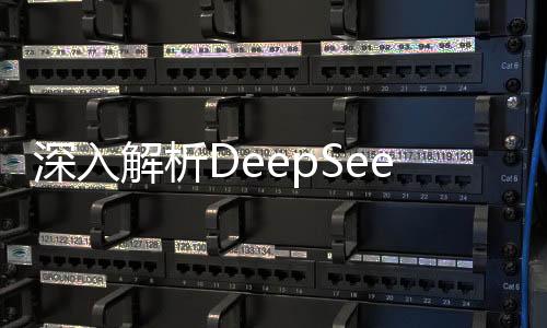 深入解析DeepSeek，探究其對寒假作業(yè)輔助的能力