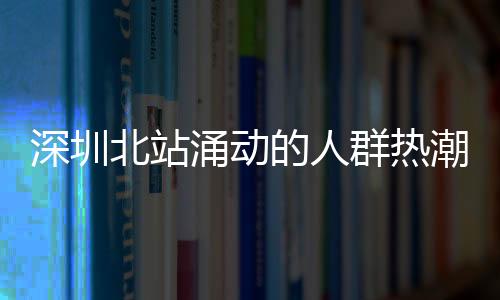 深圳北站涌動(dòng)的人群熱潮，一瞥見(jiàn)繁忙的交通樞紐