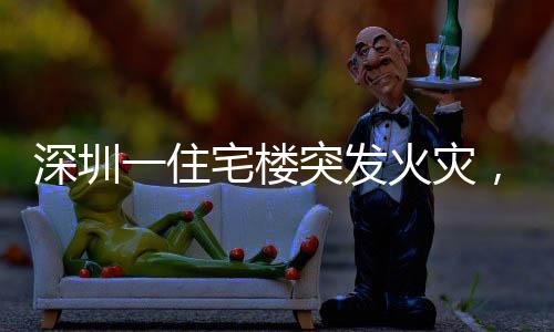 深圳一住宅樓突發(fā)火災(zāi)，現(xiàn)場(chǎng)黑煙直沖云霄