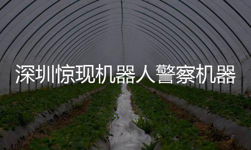 深圳驚現(xiàn)機器人警察機器人網(wǎng)格員，智能警務引領未來
