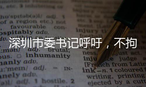 深圳市委書(shū)記呼吁，不拘一格引進(jìn)人才