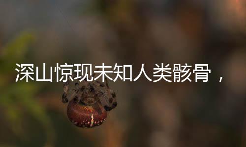 深山驚現(xiàn)未知人類骸骨，考古學(xué)專家緊急介入調(diào)查