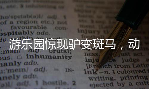 游樂園驚現(xiàn)驢變斑馬，動物角色錯位引發(fā)社會關(guān)注