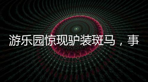 游樂園驚現(xiàn)驢裝斑馬，事件背后的反思與探討