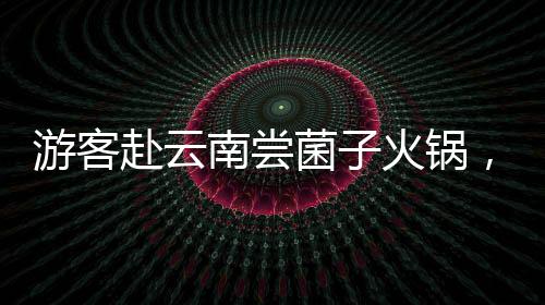 游客赴云南嘗菌子火鍋，驚嘆于獨特食用規(guī)則